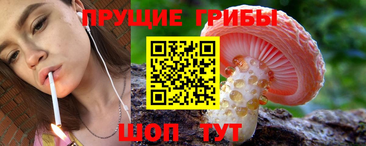 Галлюциногенные грибы мицелий Кимовск