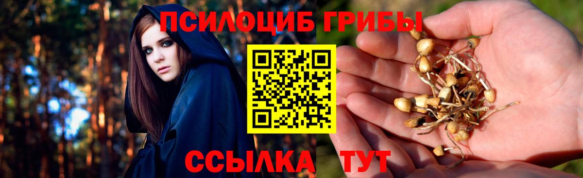 Кимовск  Галлюциногенные грибы прущие грибы  Псилоцибиновые грибы Psilocybine cubensis  Вход с VPN 